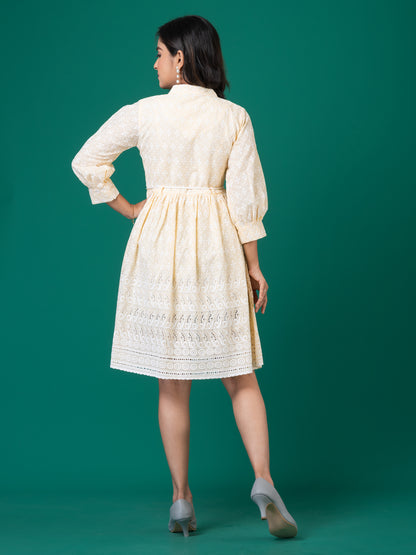 Howdy Neighbor  Embroidered A-Line Midi Dress