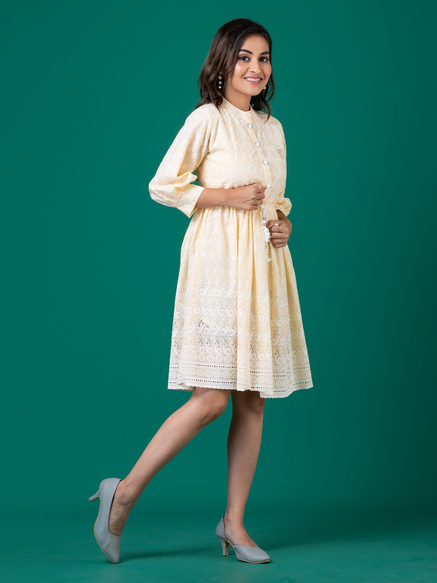 Howdy Neighbor  Embroidered A-Line Midi Dress