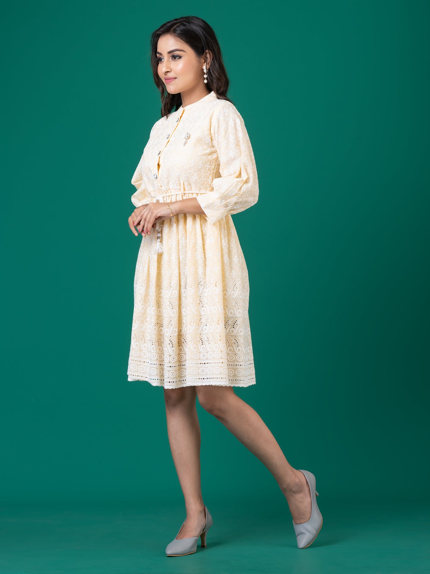 Howdy Neighbor  Embroidered A-Line Midi Dress